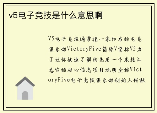 v5电子竞技是什么意思啊